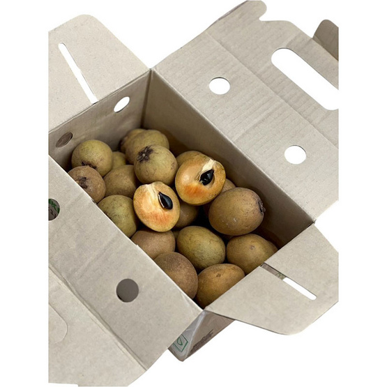 บ้านสวนอบอุ่น ละมุดสุโขทัย