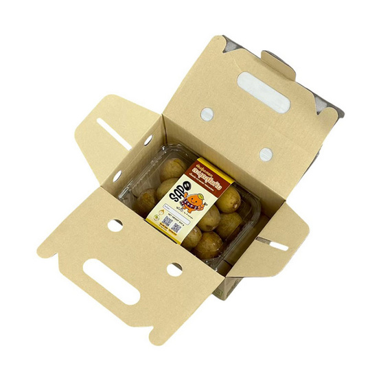 บ้านสวนอบอุ่น ละมุดสุโขทัย