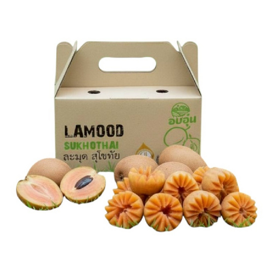 บ้านสวนอบอุ่น ละมุดสุโขทัย 1.5 กก.