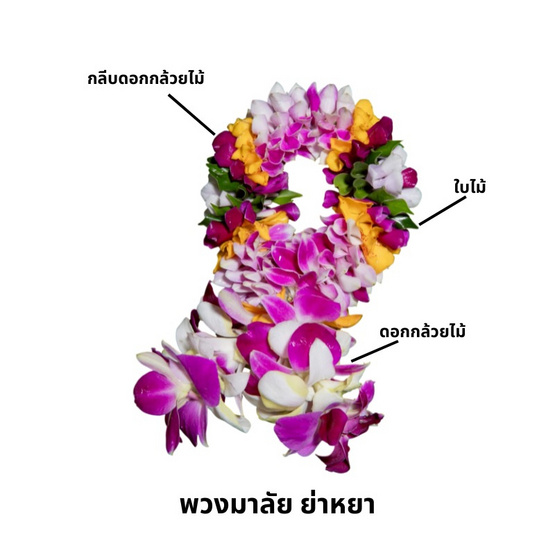 พวงมาลัยกล้วยไม้ ขนาดกลาง ย่าหยา