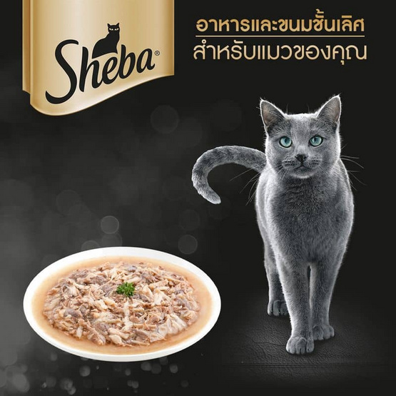 ชีบา อาหารแมว ชนิดเปียก สูตรแมวโต รสเนื้อไก่และปลาทูน่าในน้ำเกรวี่ 70 ก.