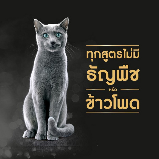 ชีบา อาหารแมว ชนิดเปียก สูตรแมวโต รสเนื้อไก่และปลาทูน่าในน้ำเกรวี่ 70 ก.