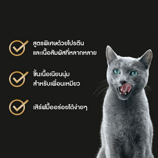 ชีบา อาหารแมว ชนิดเปียก สูตรแมวโต ปลาทูน่า ไก่และโบนิโตะเฟลค 70 ก.
