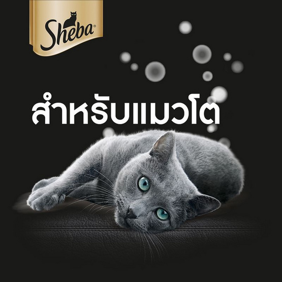 ชีบา อาหารแมว ชนิดเปียก สูตรแมวโต ปลาทูน่า ไก่และโบนิโตะเฟลค 70 ก.