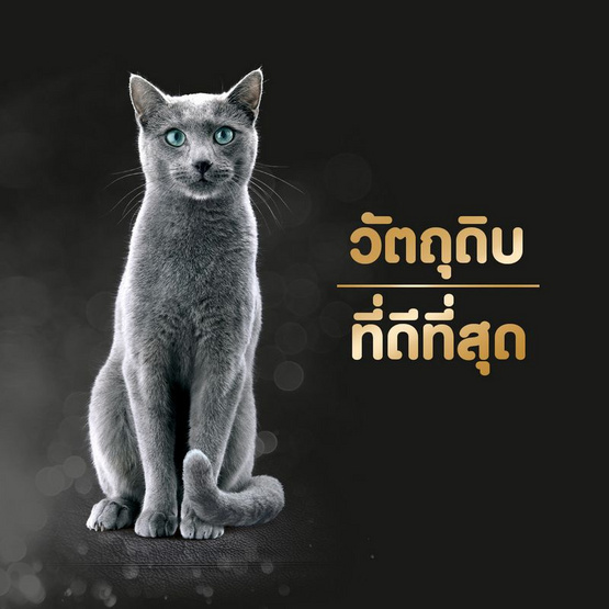 ชีบาเมลตี้ ขนมแมวเลีย สูตรแมวโต รสไก่และไก่ปลาเนื้อขาว 12ก. (แพ็ก 4 ชิ้น)