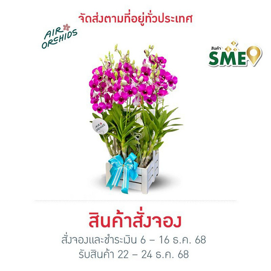 เซตกล้วยไม้หวายทูโทน กระเช้าหูหิ้วสีขาว