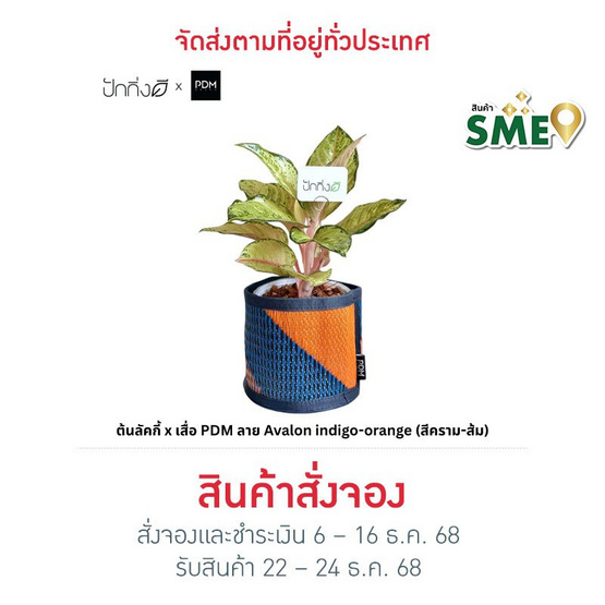 ต้นลัคกี้ x เสื่อ PDM ลาย Avalon indigo-orange (สีคราม-ส้ม)