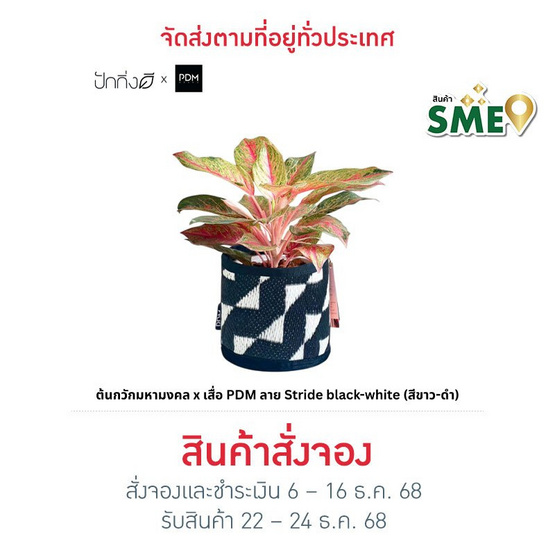 ต้นกวักมหามงคล x เสื่อ PDM ลาย Stride black-white (สีขาว-ดำ)