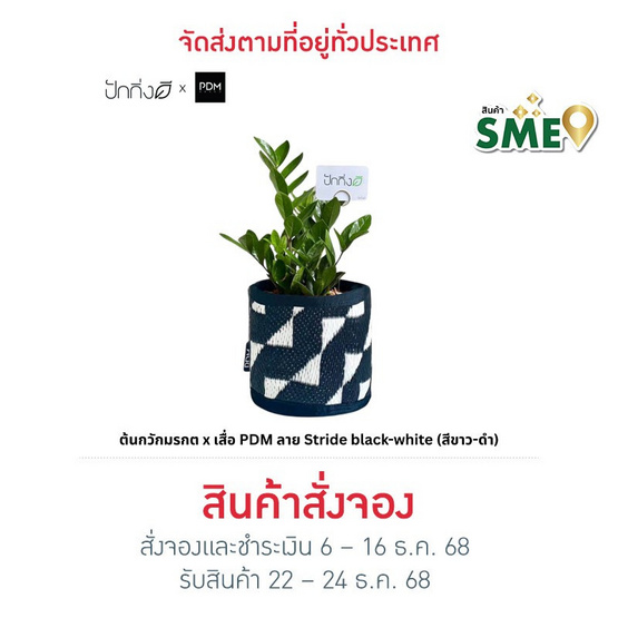 ต้นกวักมรกต x เสื่อ PDM ลาย Stride black-white (สีขาว-ดำ)