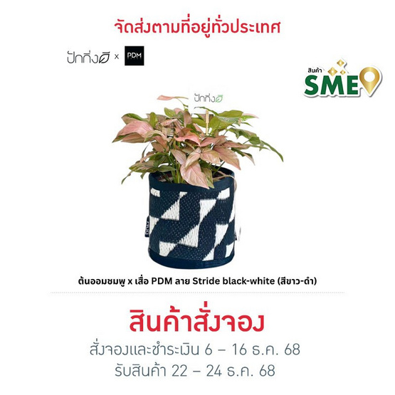 ต้นออมชมพู x เสื่อ PDM ลาย Stride black-white (สีขาว-ดำ)