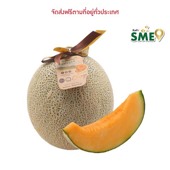 OTOP เมล่อนฮอกไกโด เกรดพรีเมียม ไร่ชรินทร์พรรณ