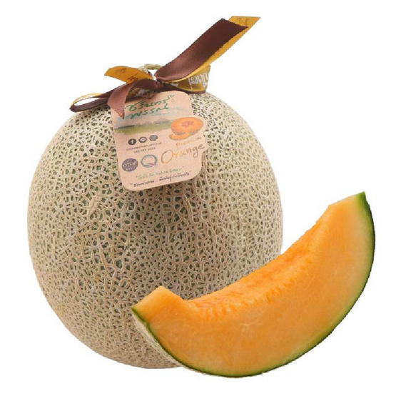 OTOP เมล่อนฮอกไกโด เกรดพรีเมียม ไร่ชรินทร์พรรณ