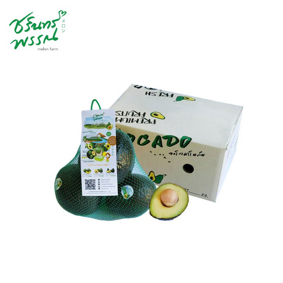 ไร่ชรินทร์พรรณ อะโวคาโด พันธุ์พื้นเมือง