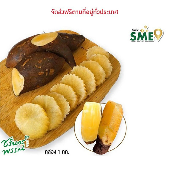 ไร่ชรินทร์พรรณ บัวหิมะ