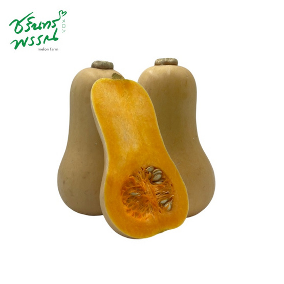 ไร่ชรินทร์พรรณ ฟักทองบัตเตอร์นัท 2 กิโลกรัม