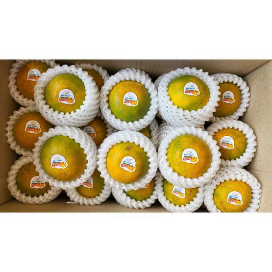 ไร่ชรินทร์พรรณ ส้มสายน้ำผึ้ง กล่อง 3 กิโลกรัม