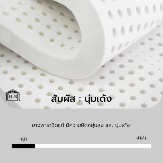 Home Best ที่นอนยางพาราแท้ 100% ยางฉีดขึ้นรูป