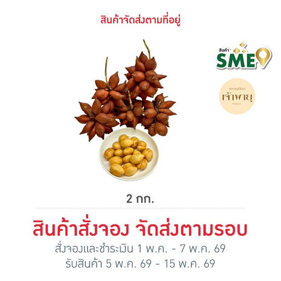 สวนเจ้าพายุ สละพันธุ์สุมาลี