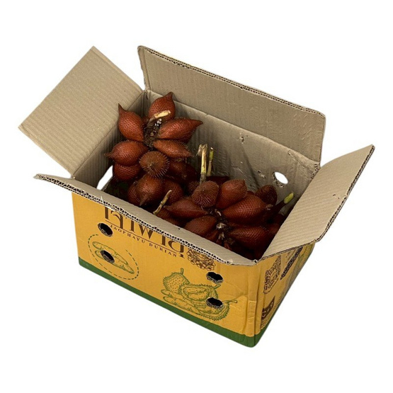 สวนเจ้าพายุ สละพันธุ์สุมาลี 2 กิโลกรัม