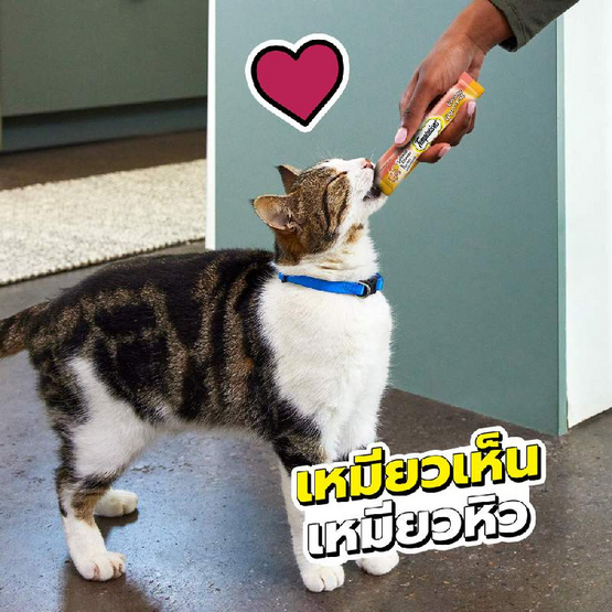 เทมเทชั่นส์ ครีมมี่ เพอเร่ ขนมแมวเลีย สูตรแมวโต แซลมอน+ชีส 12ก. (แพ็ก 4 ชิ้น)