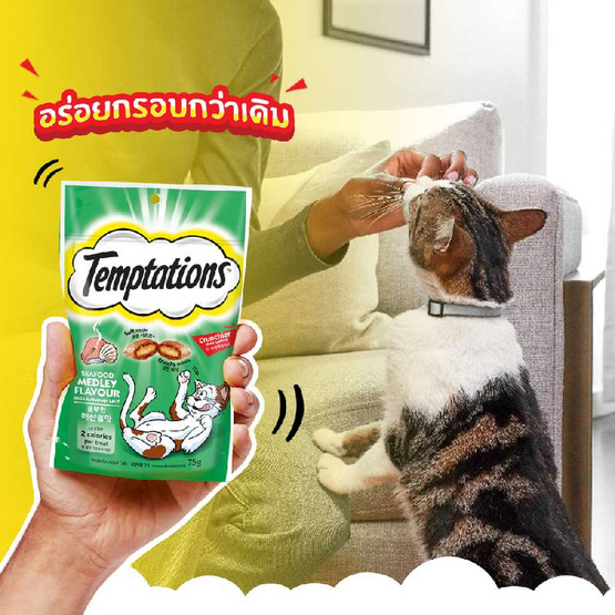 เทมเทชั่นส์ ขนมแมว กรอบนอกนุ่มใน สูตรแมวโต รสเทสตี้ไก่ 75 ก.