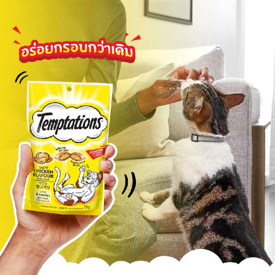 เทมเทชั่นส์ ขนมแมว กรอบนอกนุ่มใน สูตรแมวโต รสเทสตี้ไก่ 75 ก.
