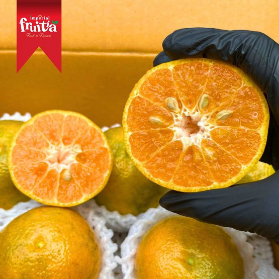 อิมพีเรียล ฟรุตเทีย ส้มจักรพรรดิ Extra Sweet ไซซ์ 0 กล่อง 5 กก. (6-8 ผล/กก.)