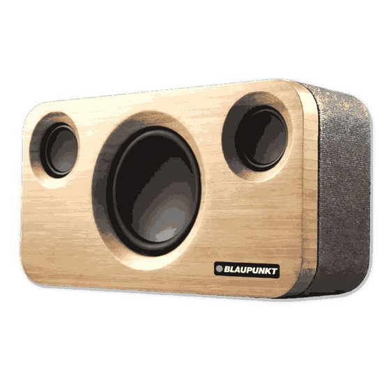 BLAUPUNKT ลำโพงบลูทูธพกพา NOAH