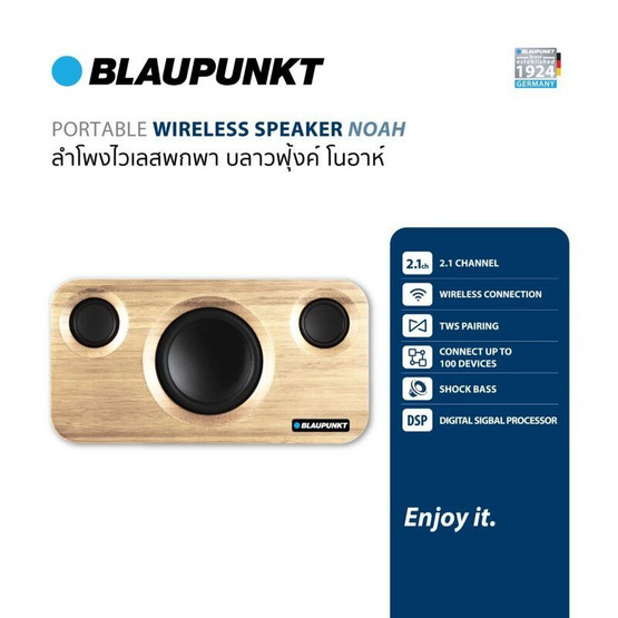 BLAUPUNKT ลำโพงบลูทูธพกพา NOAH