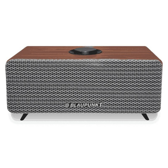 BLAUPUNKT ลำโพงบลูทูธพกพา DUSTIN