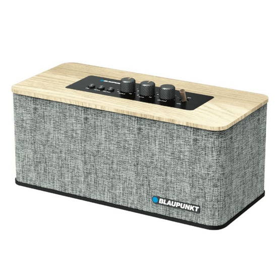 BLAUPUNKT ลำโพงบลูทูธพกพา CONGA