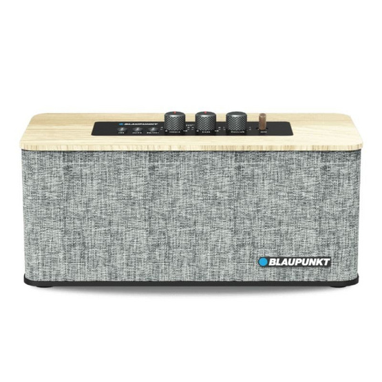 BLAUPUNKT ลำโพงบลูทูธพกพา CONGA