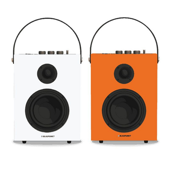 BLAUPUNKT ลำโพงบลูทูธพกพา RHYTHM
