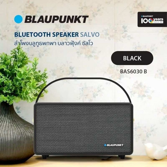 BLAUPUNKT ลำโพงบลูทูธพกพา SALVO
