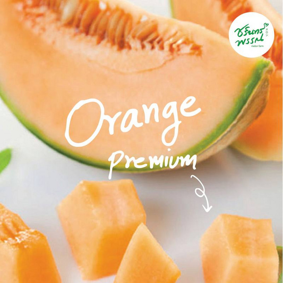 ไร่ชรินทร์พรรณ เมล่อนฮอกไกโดพรีเมียม สีส้ม 2 ลูก/กล่อง