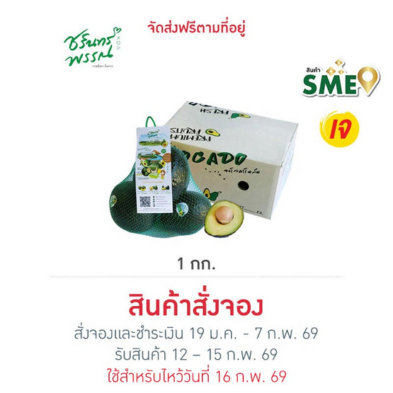 ไร่ชรินทร์พรรณ อะโวคาโด พันธุ์พื้นเมือง