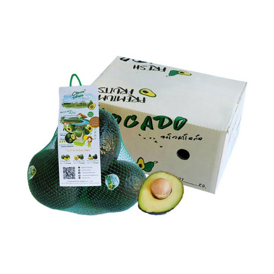 ไร่ชรินทร์พรรณ อะโวคาโด พันธุ์พื้นเมือง