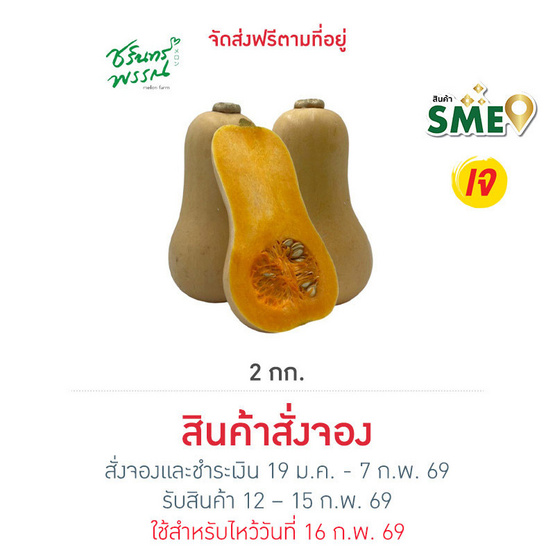 ไร่ชรินทร์พรรณ ฟักทองบัตเตอร์นัท 2 กก.