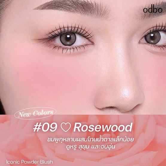 Odbo บลัชออน Iconic Powder Blush OD1325 4.2 กรัม