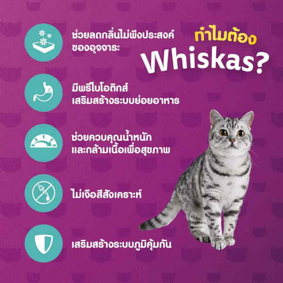 วิสกัส อาหารแมว ชนิดเม็ด สูตรแมวโต เลี้ยงในบ้าน 1.1 กก.