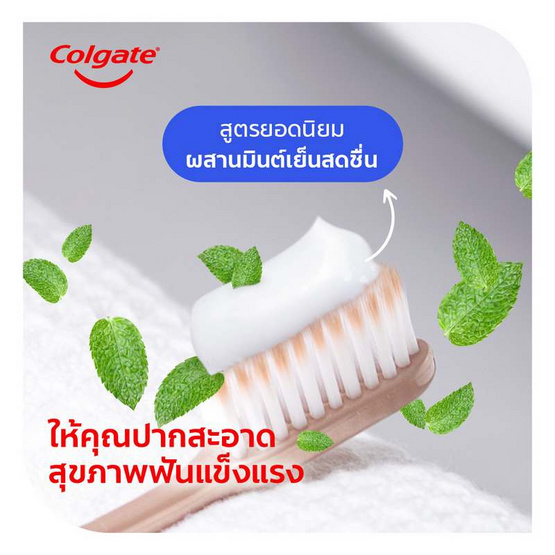 คอลเกต ยาสีฟัน รสยอดนิยม 100 กรัม (แพ็ก 6 ชิ้น)