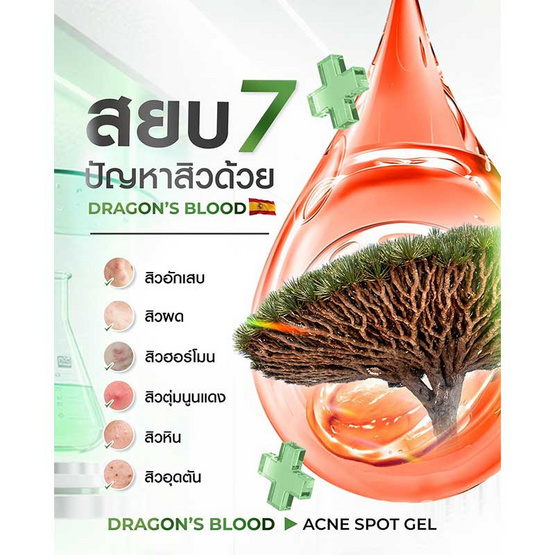 The Charming Garden เจลบำรุงผิวหน้า Dragon's Blood Acne Spot Gel Set 7 กรัม (แพ็ก 6 ชิ้น)