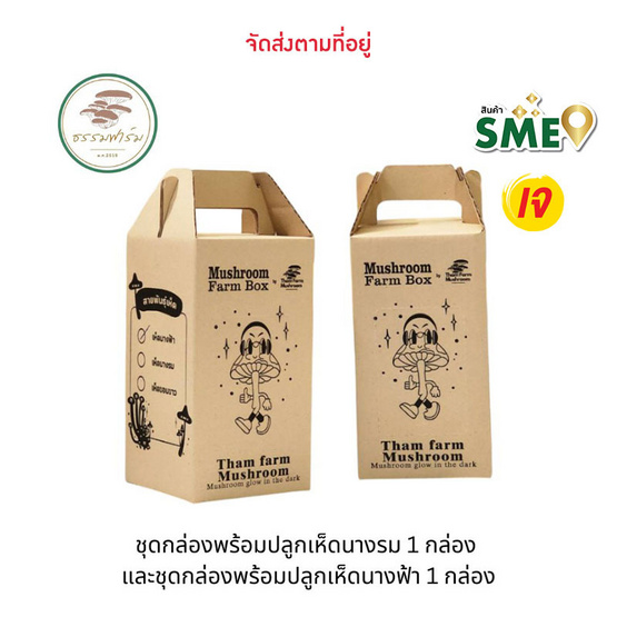 ธรรมฟาร์มเห็ด ชุดกล่องปลูกเห็ดรวม เห็ดนางรมและเห็ดนางฟ้า รวม 2 กล่อง