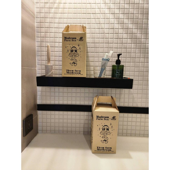 ธรรมฟาร์มเห็ด ชุดกล่องปลูกเห็ดรวม เห็ดนางรมและเห็ดนางฟ้า รวม 2 กล่อง