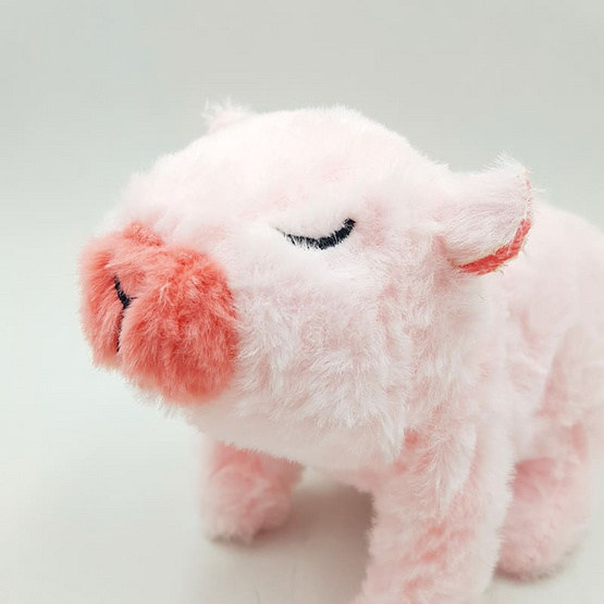 Mastery Toys คาปิบาร่าใส่ถ่าน สีชมพู