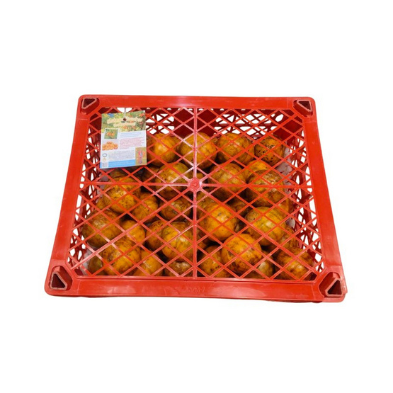 แปลงใหญ่ส้มเขียวหวานที่สูงสะเนียน ส้มสีทอง GI จ. น่าน 5 กิโลกรัม