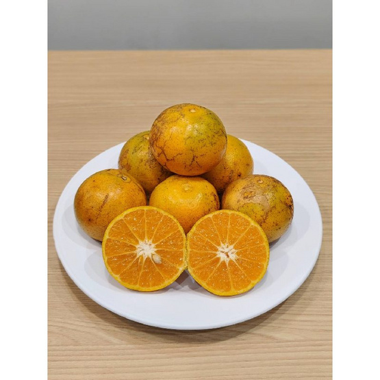 แปลงใหญ่ส้มเขียวหวานที่สูงสะเนียน ส้มสีทอง GI จ. น่าน 5 กิโลกรัม