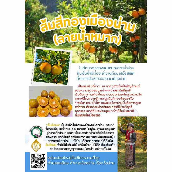 แปลงใหญ่ส้มเขียวหวานที่สูงสะเนียน ส้มสีทอง (ลายน้ำหมาก) GI จ. น่าน 5 กิโลกรัม
