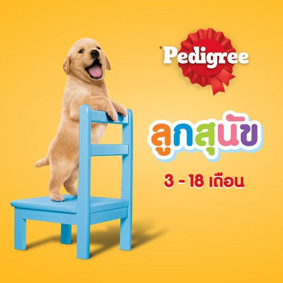 เพดดิกรี อาหารลูกสุนัข ชนิดเม็ด รสไก่ ไข่และนม 2.7 กก.