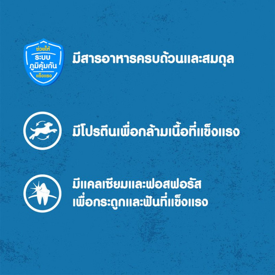 เพดดิกรี อาหารสุนัข ชนิดเปียก สูตรสุนัขโต รสวัวตุ๋น บด พร้อมผัก 130 ก.